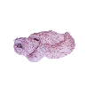 Nevilan