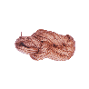 Nevilan