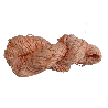 Carena - Algodon Mercerisado